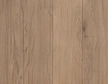 Warm oak sample texture